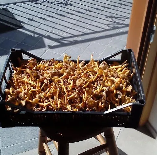 Apartamento Casa Sonia *